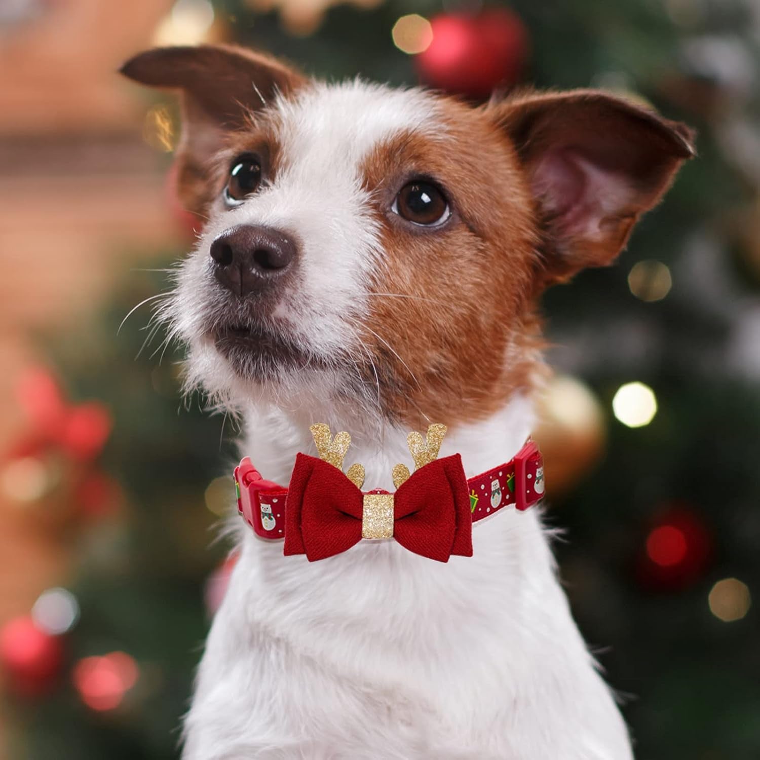 Festive Adjustable Christmas Dog Collar with Antler Bow Tie and Snowman Design for Medium Dogs